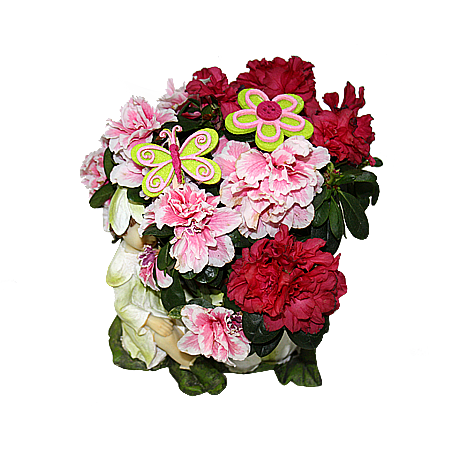 026652 Прищепка "фантазия" 3,5см ()