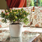 206 Кашпо MAGNOLIA d30; h26,5 см; 15,6 л белый (biały) (п/д 7) (047996)