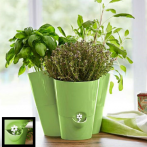 Кашпо на 3 цв. FRESH HERBS 27*25*21 см с индикатором уровня воды зеленый (green) (ш/к 9570) *