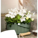 Кашпо с ручкой LANDHAUS basket 28*18*14 см зеленый лист (laurel green) (ш/к 5761) *