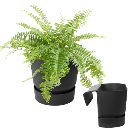 ELHO Кашпо с крепл. greenville plant hanger single d22 h14 см черный (living black) (ш/к 6560)