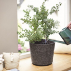 Кашпо в фетре Casa sleeve pot round d31 h26 см 14л пепельный (ash) (ш/к 7482) *