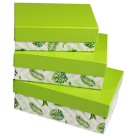 Набор прямоугольных коробок 3 в 1 "Джунгли" (19 х12 х7,5 - 15 х10 х5 см) крышка зеленая ПП-3298 *