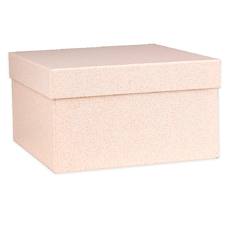Одинарная квадратная коробка "Ваниль" 10 х 10 х 5 см (спайка 4 шт) НПК-7484 *