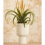 ELHO Кашпо vibes fold coupe d14 см шелк (silky white) (ш/к 4841)