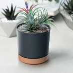 DPOD400-S433/4665W Кашпо с прикр. подд. TUBO PM d39, h37,5см антрацит/коричневый (anthracite) *