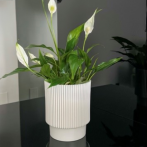 DEL 13 Кашпо Elsa d13; h16см 2,05л белый (WHITE)