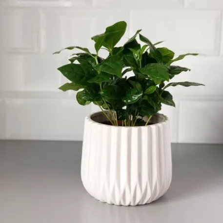 02.690.16 Кашпо Barcelona d16; h16 см белый (ш/к 6873)