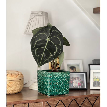 07.129.14 Кашпо квадрат. Vintage 14*14; h13 см бирюзовый (ш/к 6796)