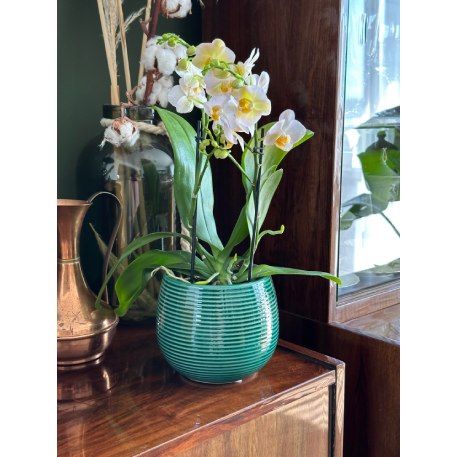 07.141.15 Кашпо Vintage d15; h13 см бирюзовый (ш/к 6956)