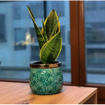 09.123.14 Кашпо Vintage d14; h13 см бирюзовый с золотом (ш/к 5609)