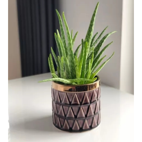 09.124.14 Кашпо Vintage d14; h14 см фиолетовый с золотом (ш/к 8945)