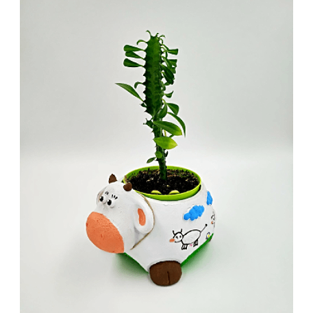 Зкш011 Зоокашпо "Ванина коровка" 18*22*15