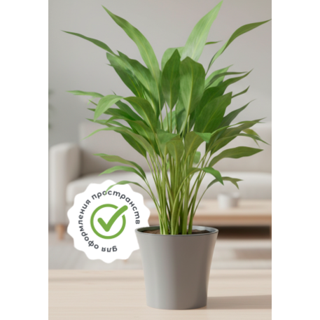 ГОРШОК "АРТЕ" 0,6 л, цвет Серый-Серый d-11; h-9,7 см