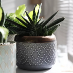 44.013.19 Кашпо Vintage d19; h14 см серый с золотом (ш/к 5807)