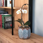 44.020.17 Кашпо Vintage d17; h13 см коричневый (ш/к 8166)