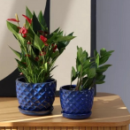 77.701 Ком-т кашпо с поддоном Glazed (d14,h12, d20,h17 см) синий (ш/к 2550)