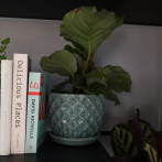 77.702 Ком-т кашпо с поддоном Glazed (d14,h12, d20,h17 см) голубой (ш/к 2567)