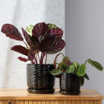 77.704 Ком-т кашпо с поддоном Vintage (d14,h15, d19,h19 см) черный (ш/к 2581)