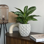 77.706.19 Кашпо Vintage d19; h19 см белый (ш/к 1812)