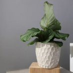 01.718 Ком-т кашпо Mood (d17,h16, d21,h19 см) бежевый (ш/к 1492)