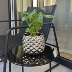 02.630.16 Кашпо Moon d16, h13 см серебро (ш/к 1267)