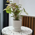 03.105.16 Кашпо Barcelona d16, h20 см белый матовый (ш/к 3496)