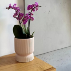 03.107.16 Кашпо Barcelona d16, h20 см розовый матовый (ш/к 3519)