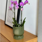 03.108.13 Кашпо Barcelona d13, h15 см зеленый (ш/к 1233)