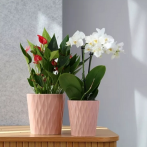 03.124.13 Кашпо Barcelona d13, h14 см розовый (ш/к 3762)