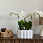 05.486.27 Кашпо овал. Piano 27*14, h13 см белый (ш/к 3359)