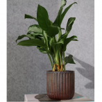 05.450.14 Кашпо Vintage d14, h13 см коричневый (ш/к 2901)