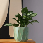 01.722.15 Кашпо Mood d16,h17 см зеленый (ш/к 5611)