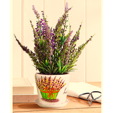 23 Распродажа