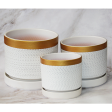 Пушкинская керамика