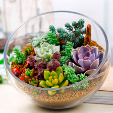 Прозрачные