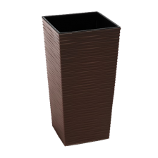 FINEZJA с вкладышем Dluto