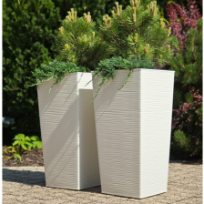 FINEZJA с вкладышем Dluto