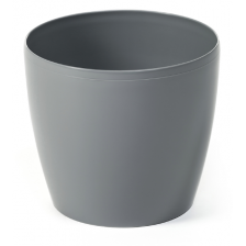 MAGNOLIA глянец