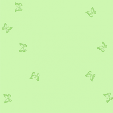 Пленка флористическая