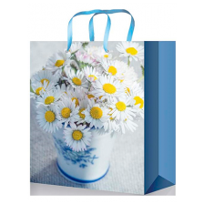 Подарочные пакеты