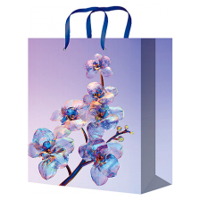 Подарочные пакеты