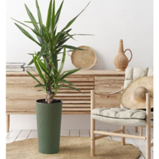 LILIA с вкладышем jumper ECO