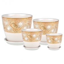 САДЫ АУРИКИ