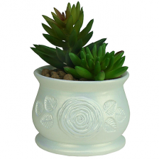 САДЫ АУРИКИ