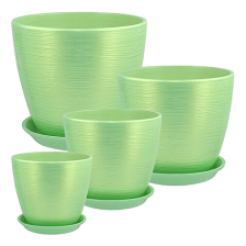 САДЫ АУРИКИ