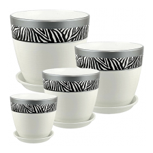 САДЫ АУРИКИ