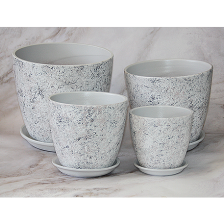 САДЫ АУРИКИ