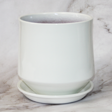 САДЫ АУРИКИ