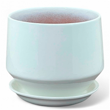 САДЫ АУРИКИ